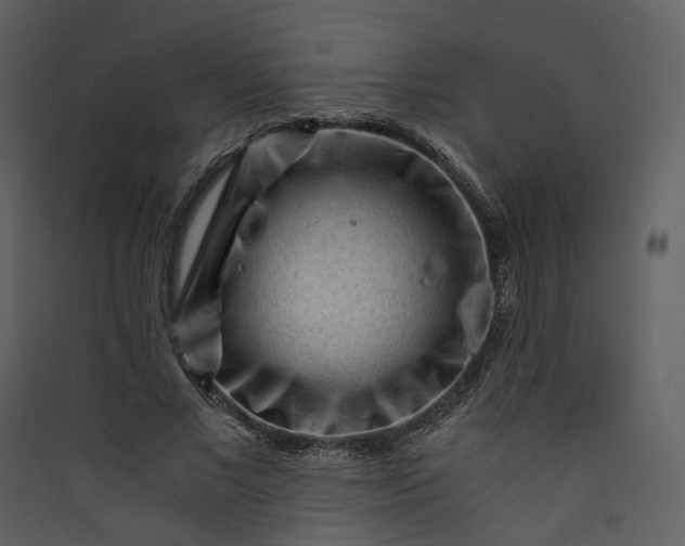 X0000089950685200707131516