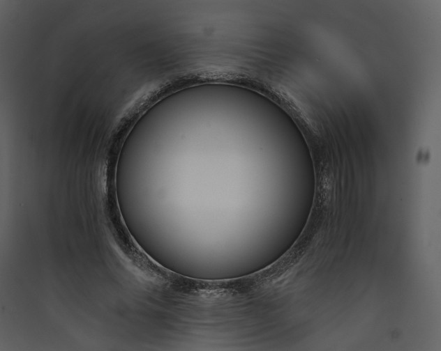 X0000089950686200707131516