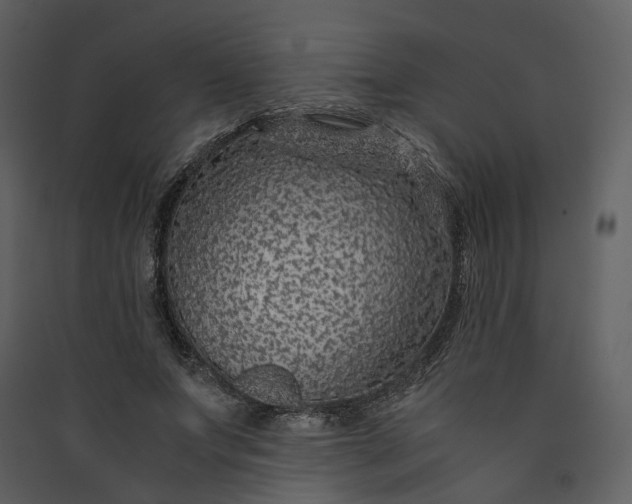X0000089950687200707131516