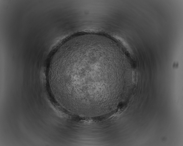 X0000089950688200707131516
