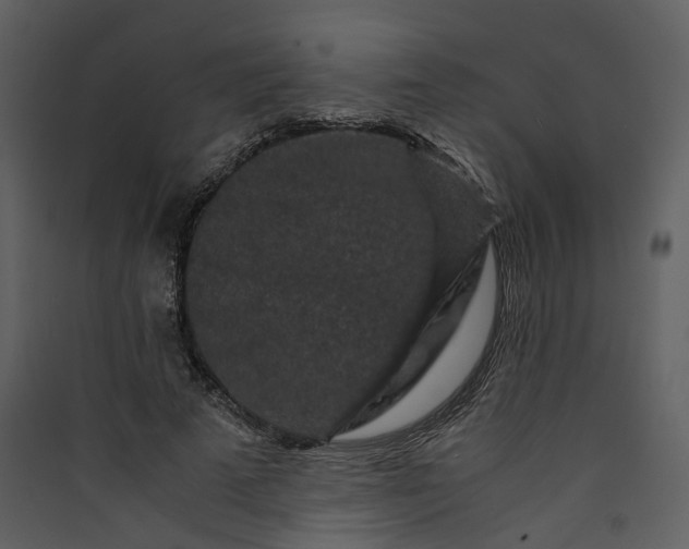 X0000089950689200707131516