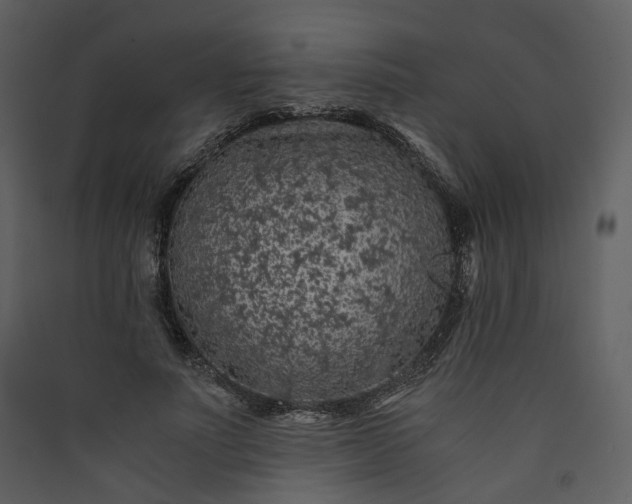 X0000089950691200707131516