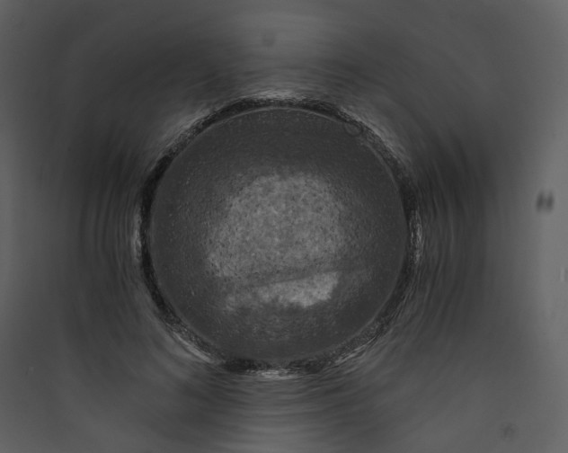 X0000089950692200707131516