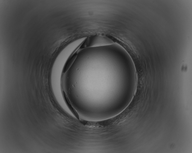 X0000089950693200707131516