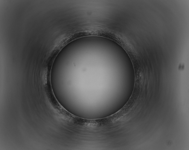 X0000089950694200707131516