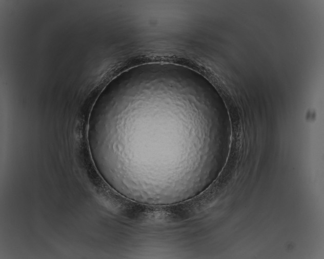 X0000089950695200707131516