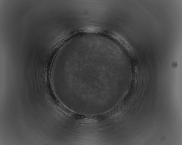 X0000089950696200707131516