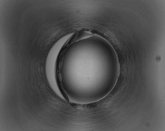 X0000089950697200707131516