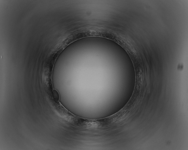 X0000089950698200707131516