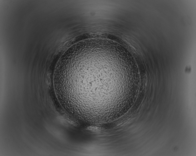 X0000089950699200707131516