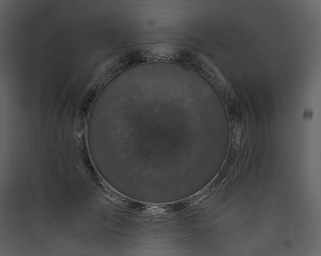 X0000089950701200707131516