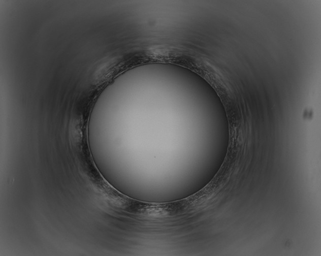 X0000089950702200707131516