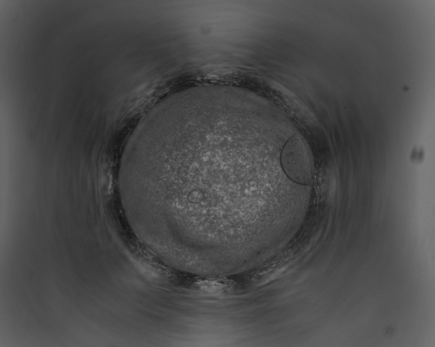 X0000089950703200707131516