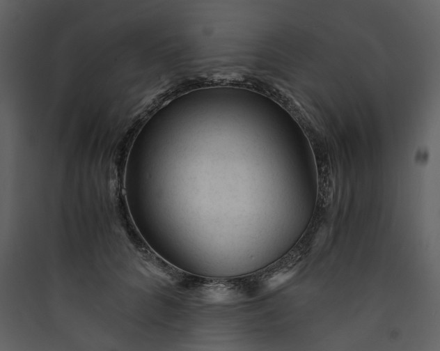 X0000089950704200707131516