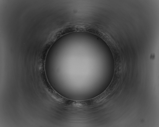 X0000089950706200707131515