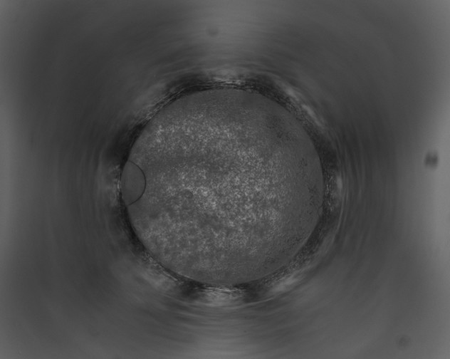 X0000089950707200707131515