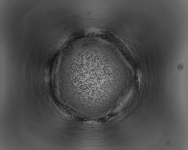 X0000089950708200707131515