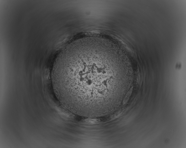 X0000089950711200707131515