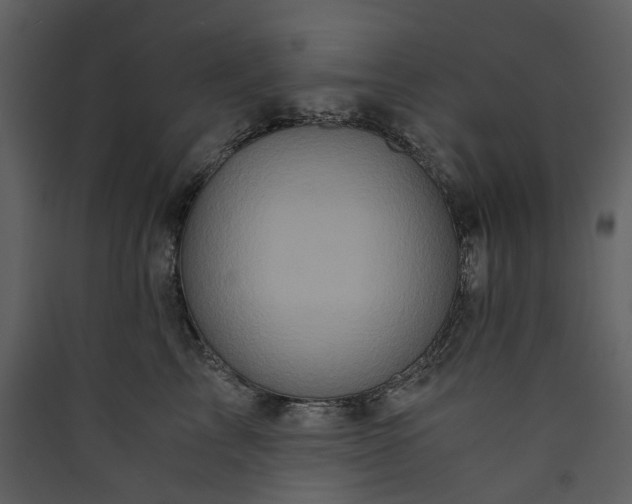 X0000089950713200707131515