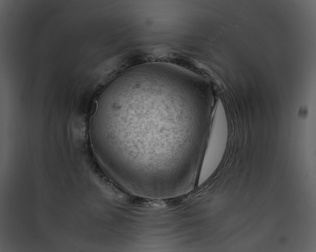 X0000089950715200707131515