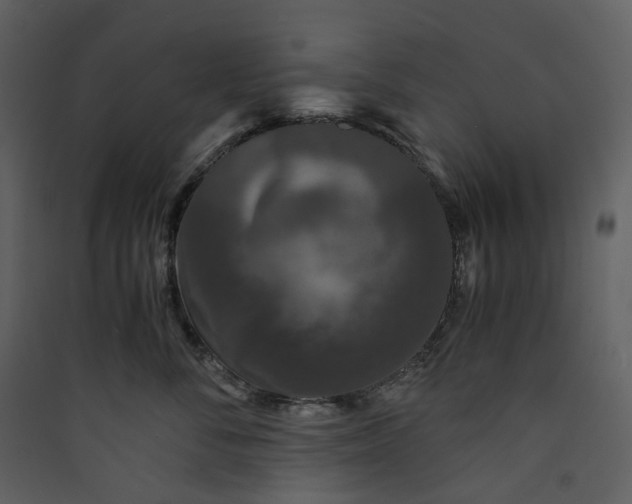X0000089950716200707131515