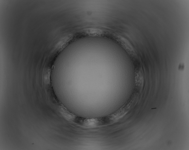 X0000089950717200707131515