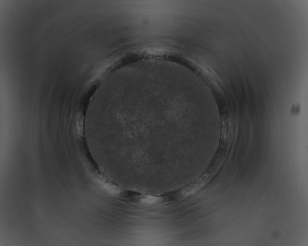 X0000089950718200707131515