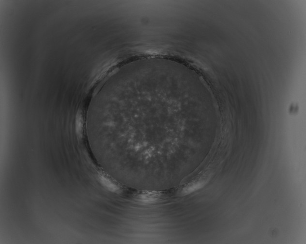 X0000089950720200707131515