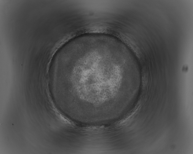 X0000089950721200707131515