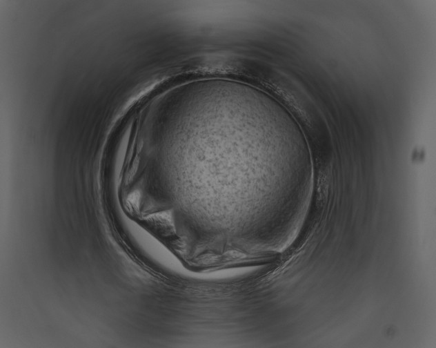 X0000089950722200707131515
