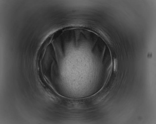 X0000089950723200707131515