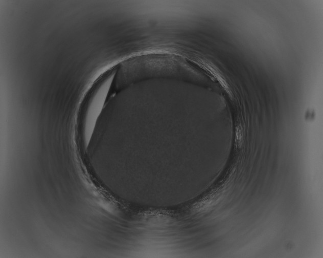 X0000089950724200707131515