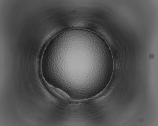 X0000089950725200707131515