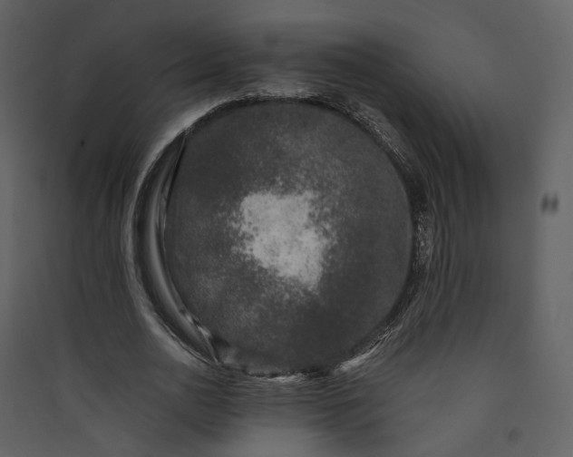 X0000089950726200707131515