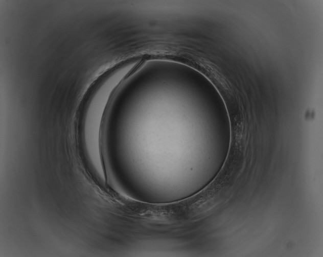 X0000089950727200707131515