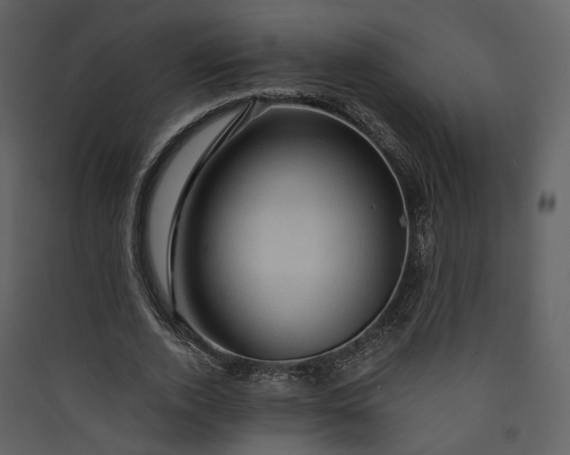 X0000089950728200707131515