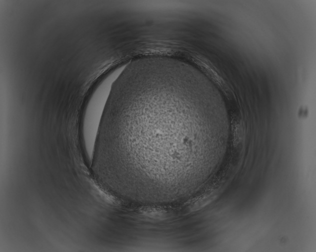 X0000089950729200707131515