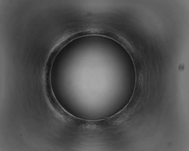 X0000089950730200707131515