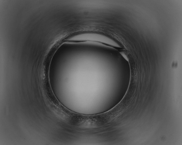 X0000089950731200707131515