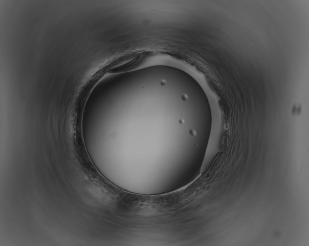 X0000089950732200707131515