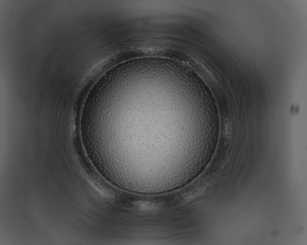 X0000089950733200707131515