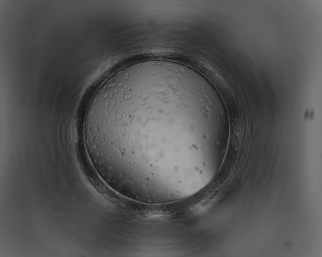 X0000089950734200707131515