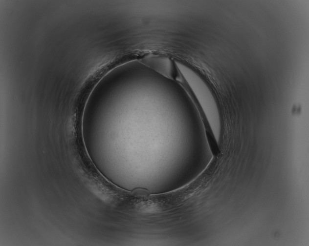 X0000089950735200707131515