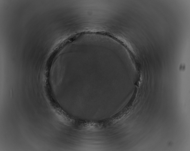 X0000089950736200707131515