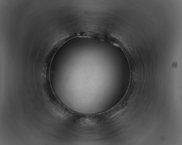 X0000089950739200707131515