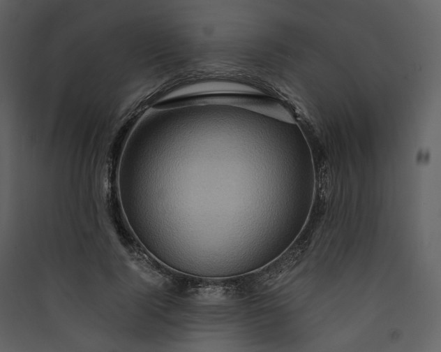 X0000089950740200707131515