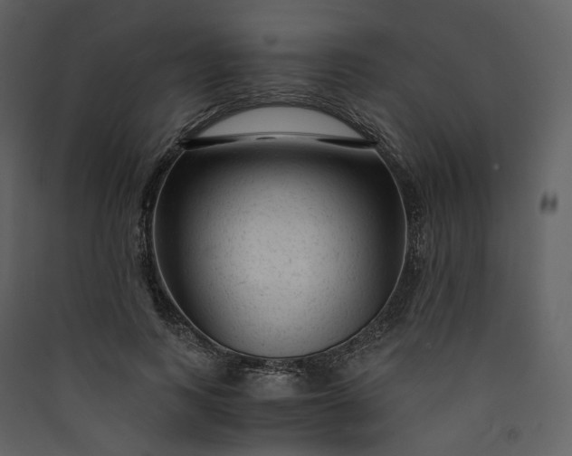 X0000089950743200707131515