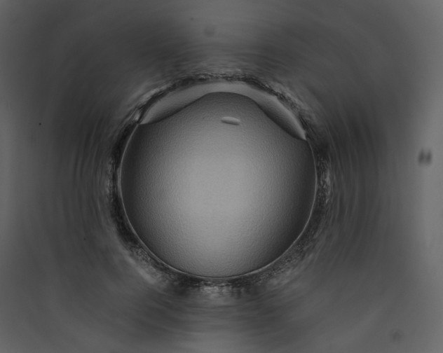 X0000089950744200707131515
