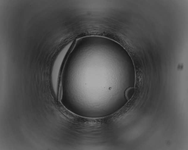 X0000089950745200707131515