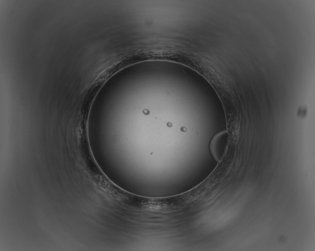 X0000089950746200707131515